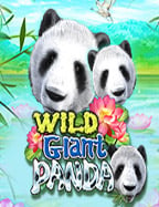 เกมสนุกน่าเล่น: win win slot เกมสล็อตยอดนิยม